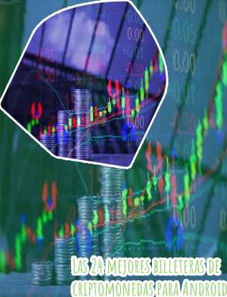 Billetera virtual para criptomonedas