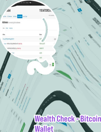 Btc wallet address checker