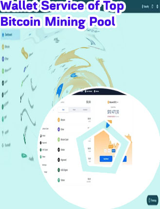 Top btc wallet